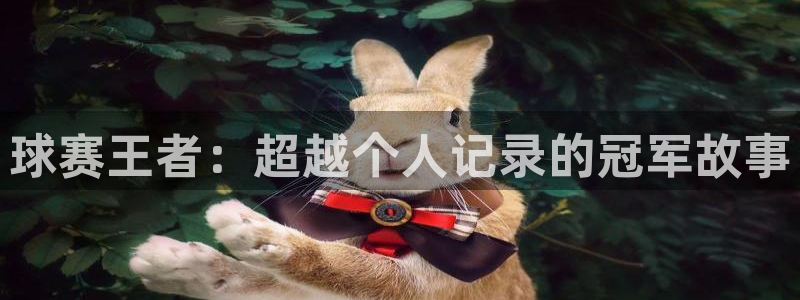 球赛王者：超越个人记录的冠军故事