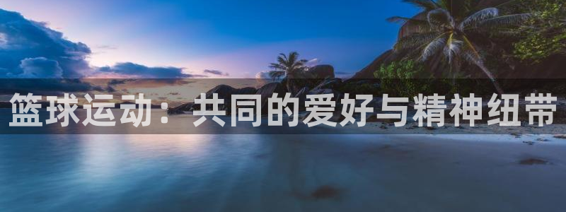 篮球运动：共同的爱好与精神纽带