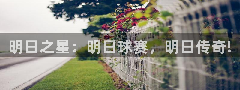 星空体育在线：明日之星：明日球赛，明日传奇!