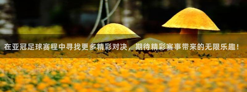 天空体育是什么：在亚冠足球赛程中寻找更多精彩对决，期待精彩赛